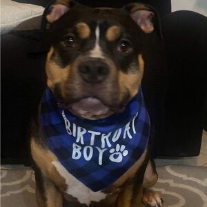 Meet your Posher, Princess